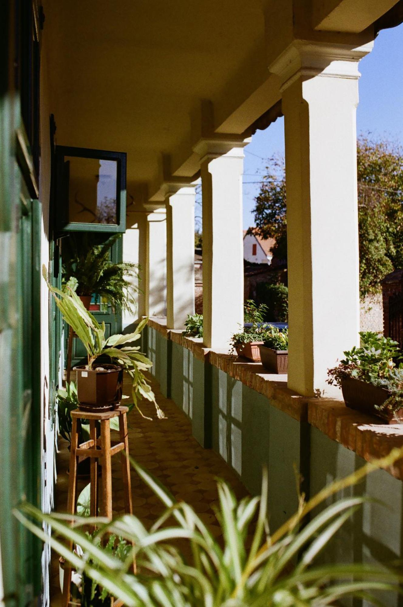 Tradicionalna Kuca Biljkinog Oca Vila Lug Exterior foto