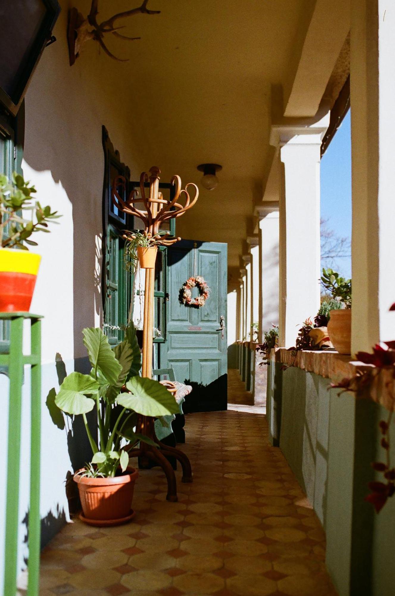 Tradicionalna Kuca Biljkinog Oca Vila Lug Exterior foto